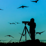 benefits of birdwatching well-being