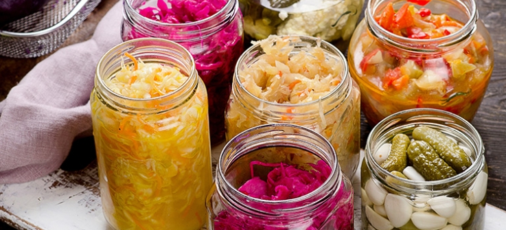 history fermented foods